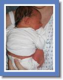 jake sleeping2 * 1944 x 2592 * (1.1MB)
